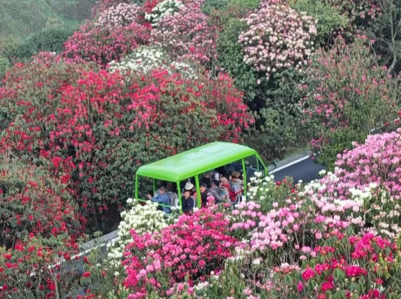 918搏天堂(中国)人生就是搏