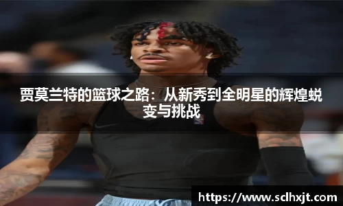 易游体育官网