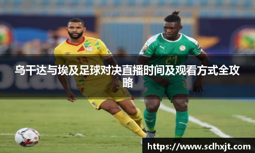 易游体育平台
