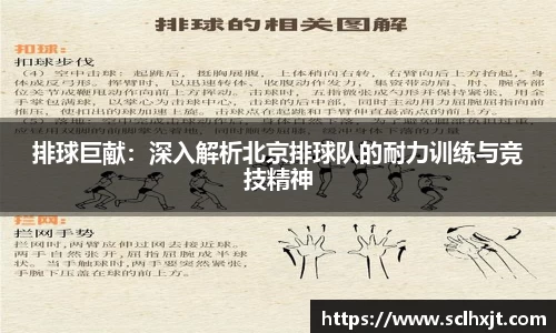 易游体育官方网站