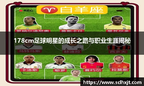 易游体育官方网站